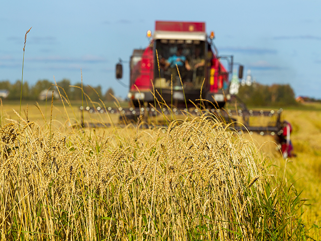 Rural Industry